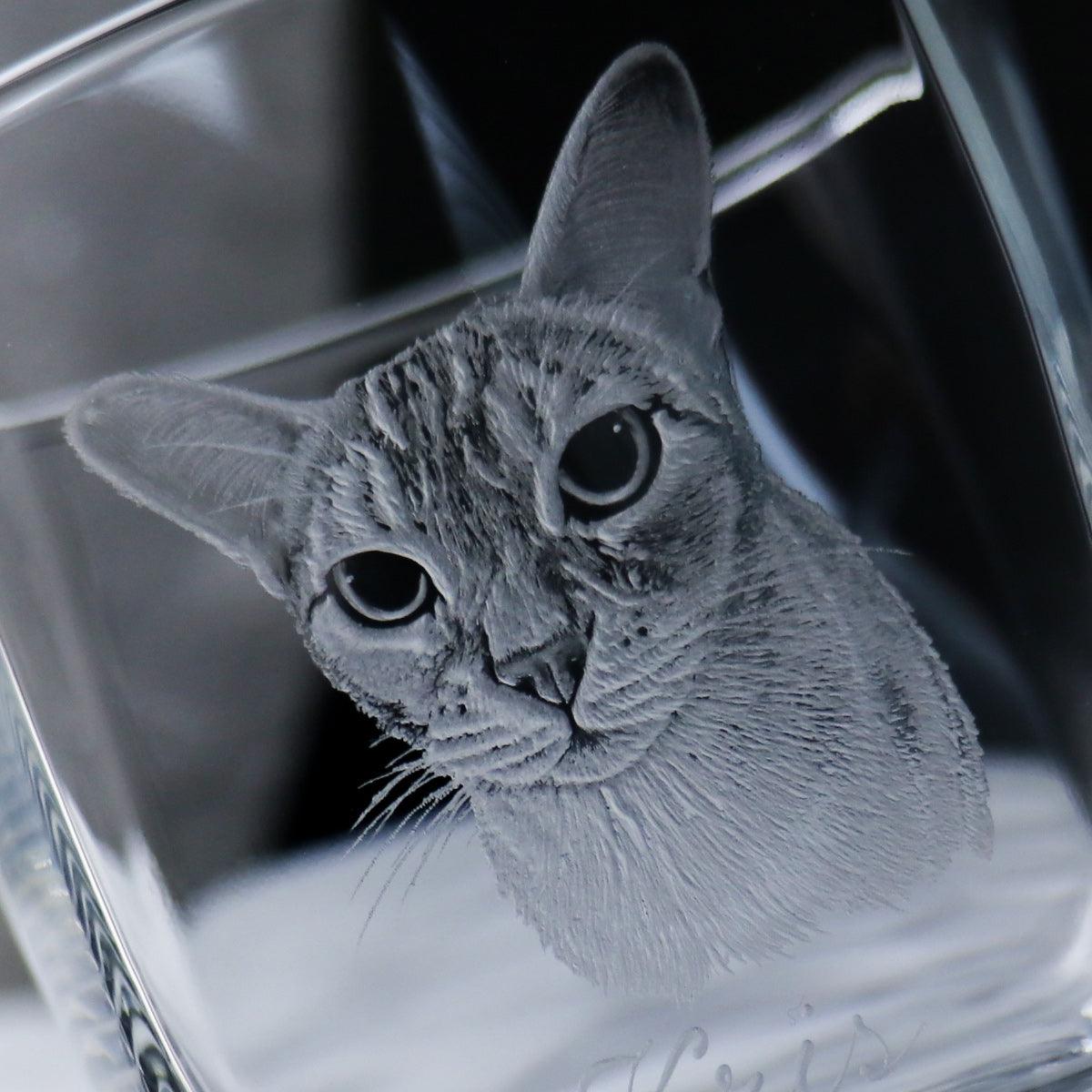 295cc【寵物寫實】貓畫像 威士忌杯 貓奴專屬 - MSA玻璃雕刻