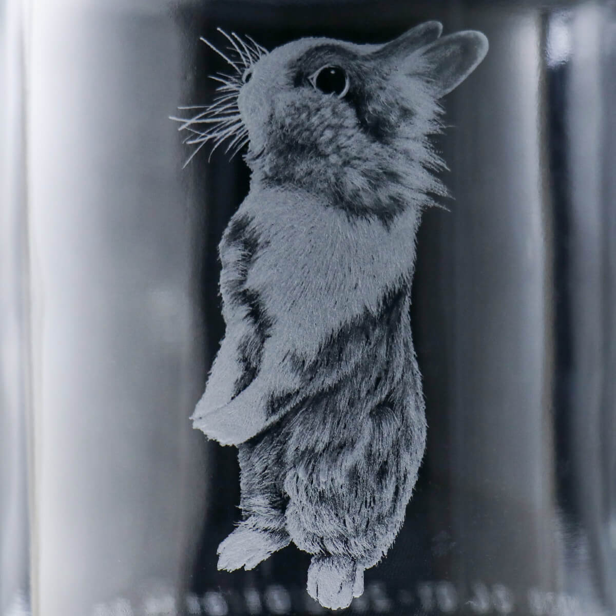 17cm【日本星硝寵物骨灰罐L3】兔子全身 Charmy Clear毛小孩在天堂明亮純淨的家 透明玻璃罐