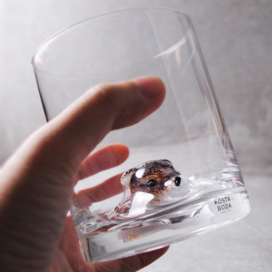 460cc【Kosta Boda刻字客製】瑞典進口 熊 New Friends Tumbler Bear 威士忌杯 熊寶寶 小熊禮物 - MSA玻璃雕刻