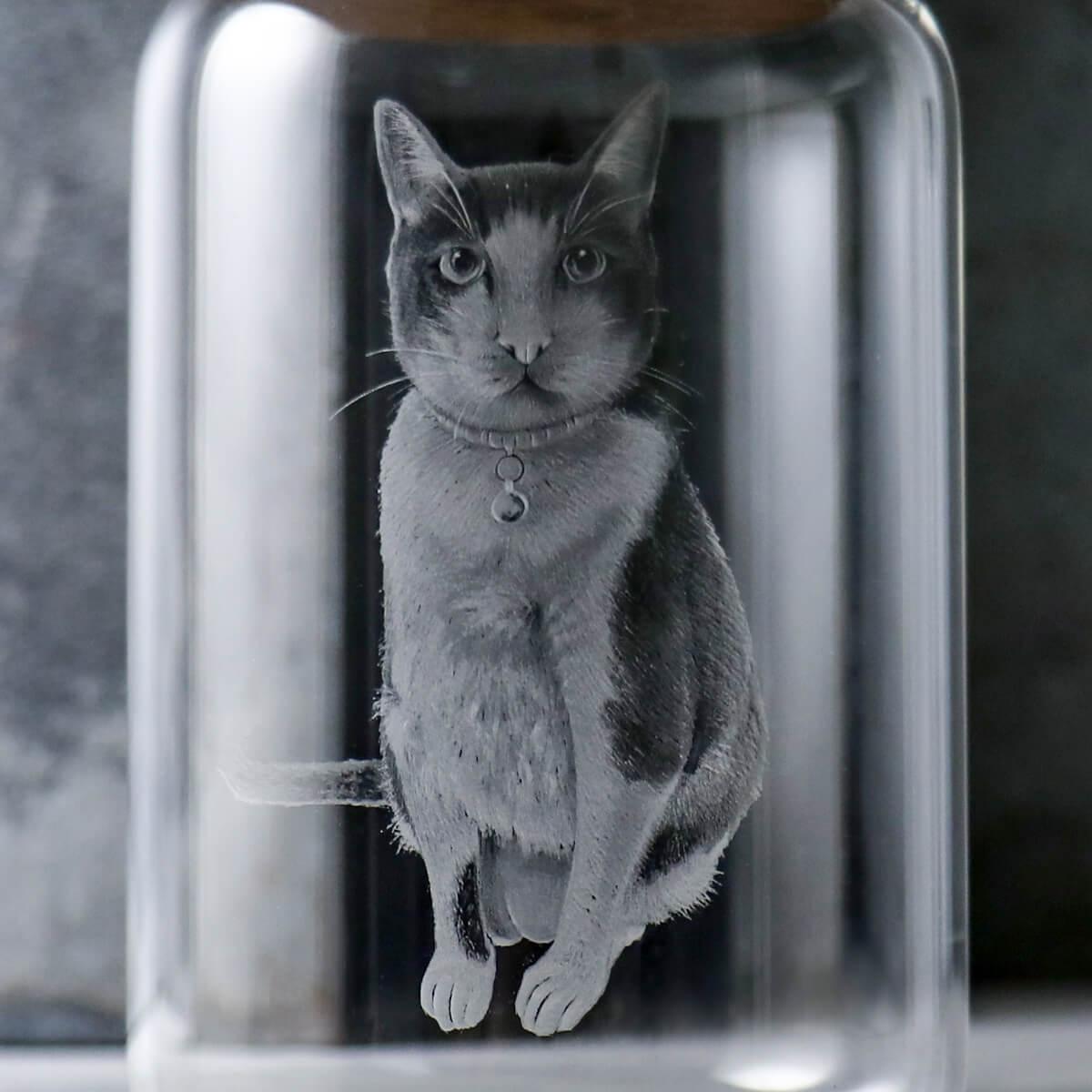 15cm【貓咪寵物骨灰罐】貓全身坐姿 客製適合毛小孩在天堂明亮純淨的家 - MSA玻璃雕刻
